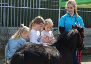 Pony knuffelen en rijden op Taste of Life event Autobedrijf Bart Ebben Malden - Nijmegen